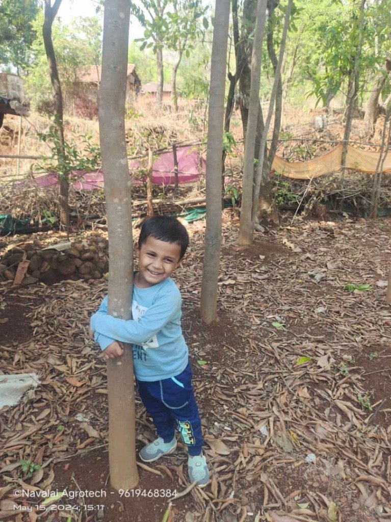 Child Embracing Mature Agroforestry Tree