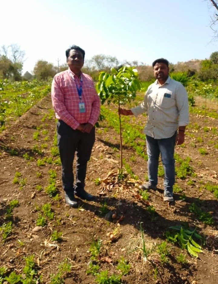 Foundation Agronomists Field Inspection