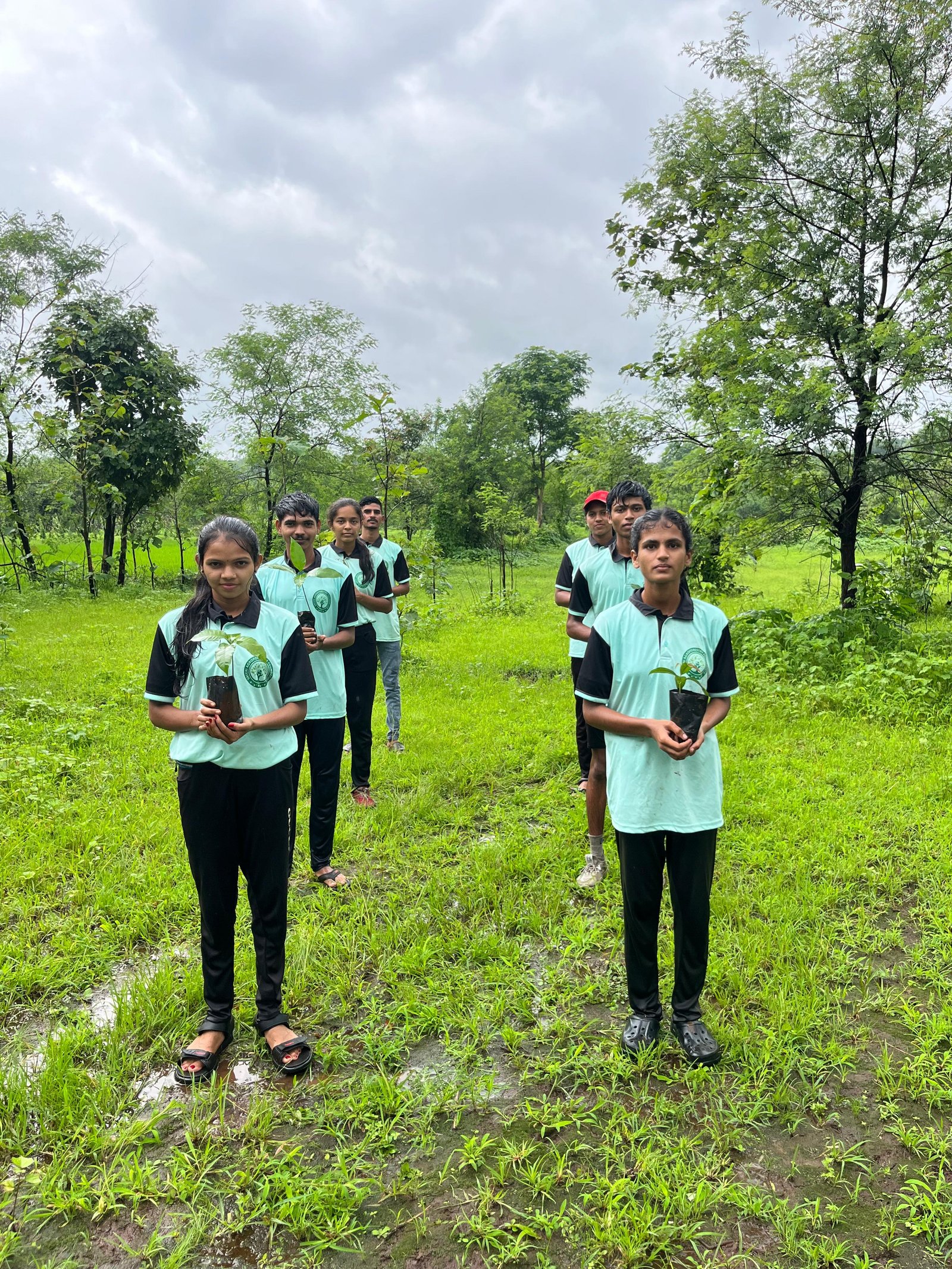 Nitrogen-Fixing Leguminous Tree Intercropping